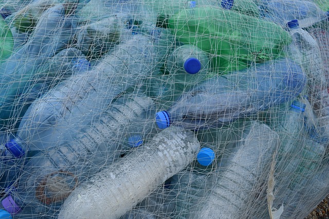 Plastikflaschen im Netz