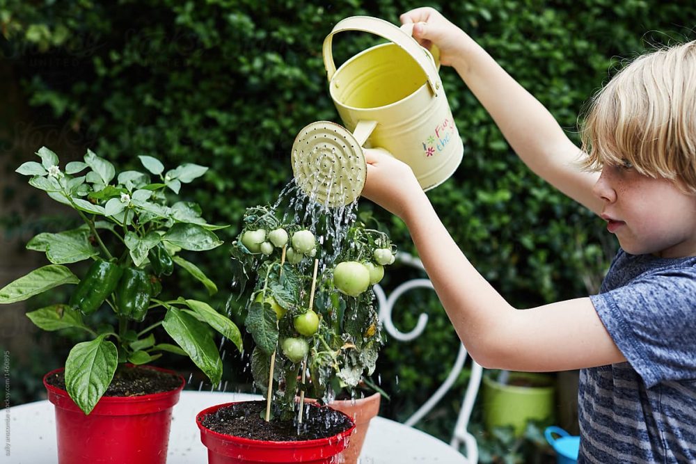 mehr gruen Urban Gardening mit Kind